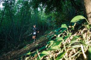 BIB: 
                            <button type="button" onclick="openModal(28123470)" class="btn btn-primary btn-sm float-right btn-popup" data-toggle="modal" data-target=".modal-high-quality">
                        <i class="fas fa-shopping-cart"></i> Add to Cart
                    </button>
                                            <button type="button" onclick="isThisMe(28123470, true)" class="btn btn-success btn-sm float-right btn-popup btn-isme hidden" data-toggle="tooltip" data-placement="bottom" title="นี่คือรูปของคุณใช่ไหม คลิกที่นี่เพื่อเอาเข้าอัลบั้ม">
                        <i class="fas fa-plus"></i> Add to album
                    </button>
                    <button type="button" onclick="isThisMe(28123470, false)" class="btn btn-warning btn-sm float-right btn-popup btn-isnotme hidden">
                        <i class="fas fa-ban"></i> Remove from album
                    </button>